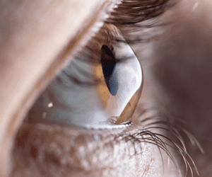 Seccion Interna Nota1 2021 07 21 Oald 300x250 1