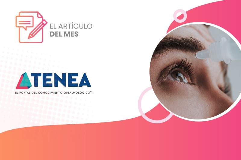 imagen prom. articulo del mes web cuántas gotas tópicas son demasiadas 1080x566