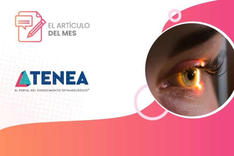 imagen prom. articulo del mes web los señores de los anillos 800x533