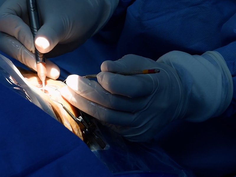 04galeria Nota2 17 08 2022 Oald