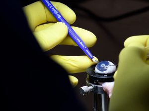 06galeria Nota2 17 08 2022 Oald 300x225