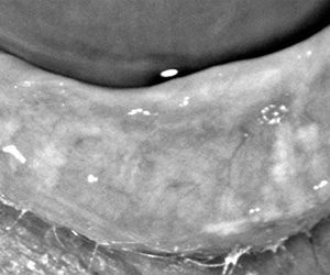Imagen Interna Nota Esp9 04 04 18 Oald 300x250 1