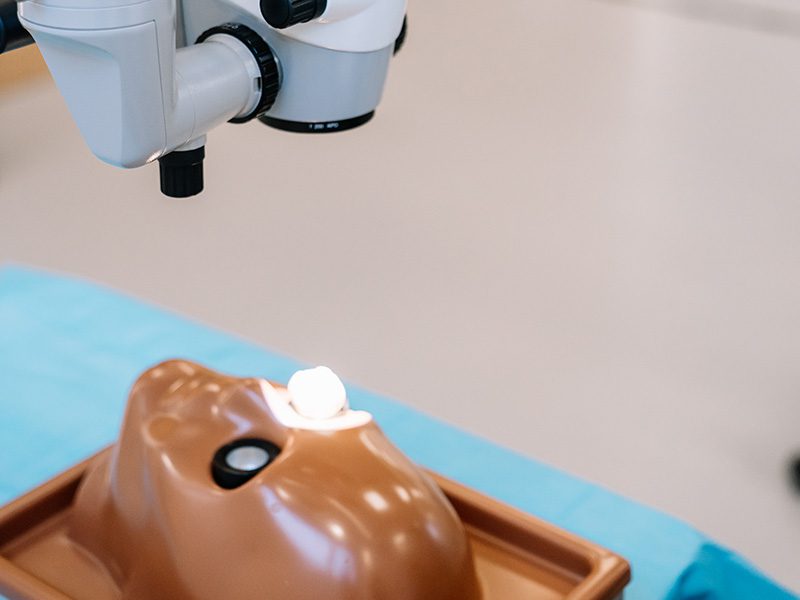 3galeria Nota5 09 11 2022 Oald