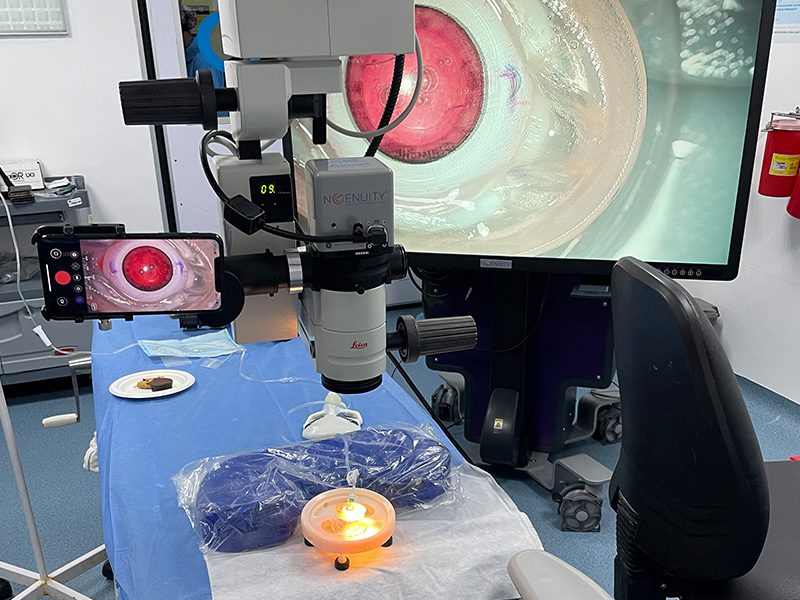 4galeria Nota5 09 11 2022 Oald