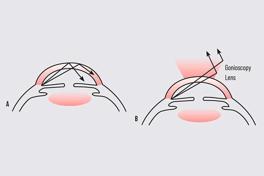 Paginaweb Nota2 15 12 2022 Oald