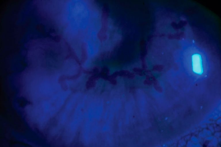 Paginaweb Nota4 08 02 2023 Oald 768x512