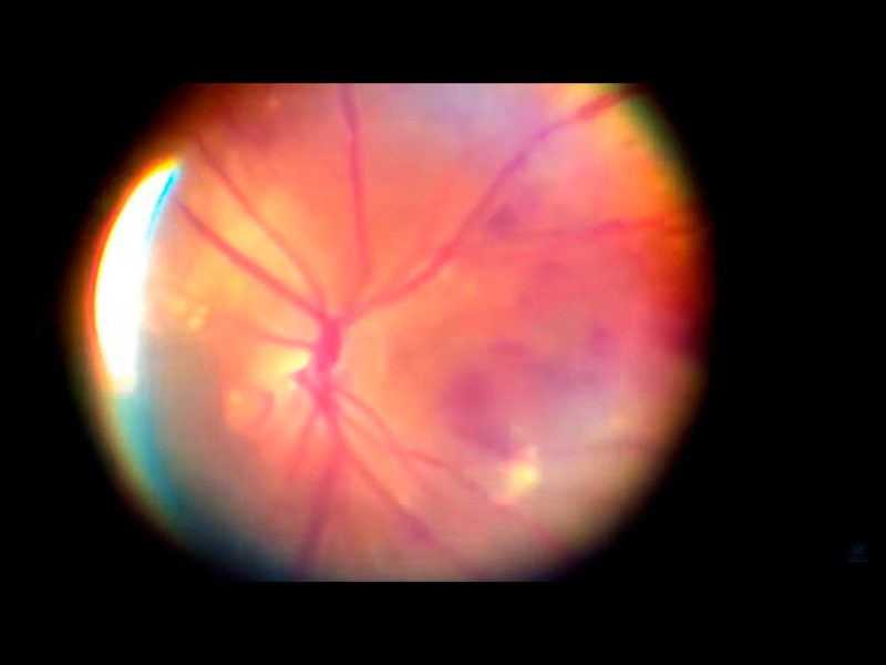 06galeria Nota3 22 03 2023 Oald