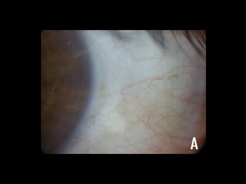 1galeria Nota1 21 06 2023 Oald