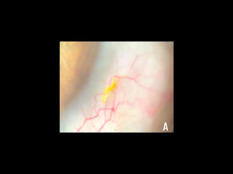 6galeria Nota1 21 06 2023 Oald