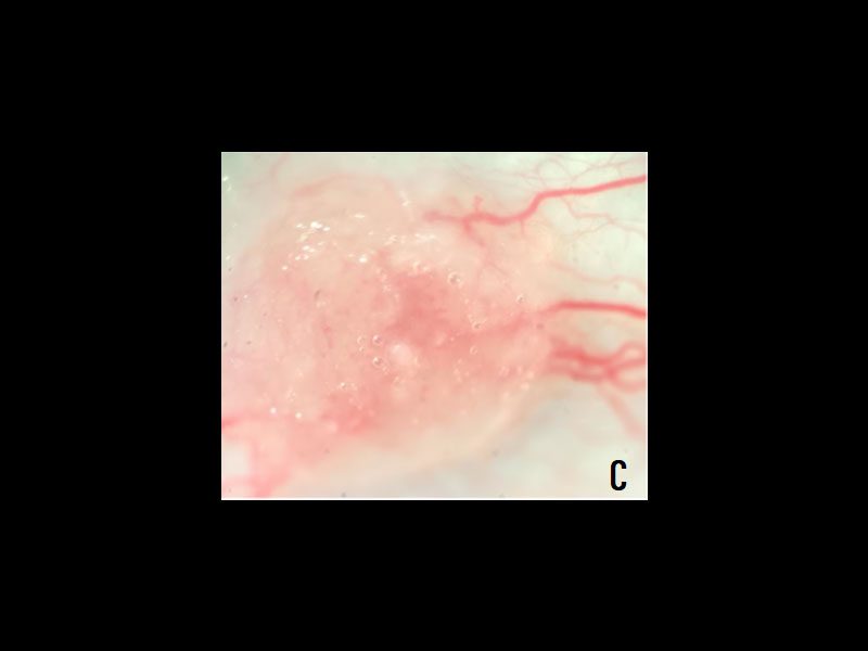 8galeria Nota1 21 06 2023 Oald