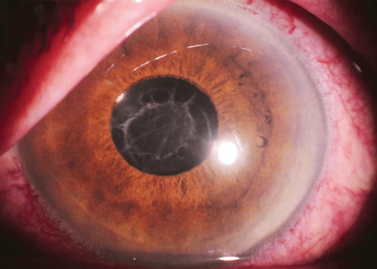 Screen Shot 2023 04 07 At 4.20.15 PM