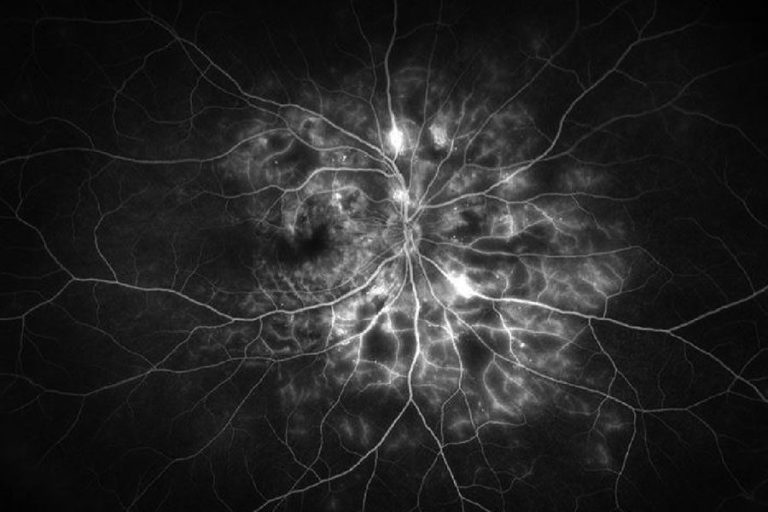 Paginaweb Nota4 07 06 2023 Oald 768x512