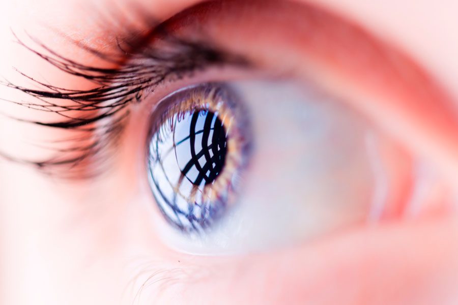 Paginaweb Nota5 20 09 2023 Oald