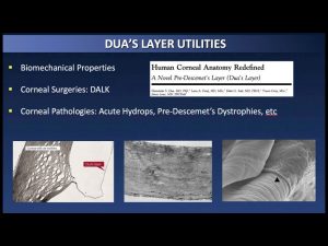5 Avances En Cirugia 300x225