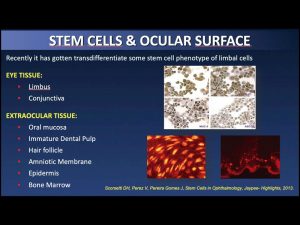 6 Avances En Cirugia 300x225