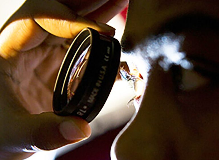 Un nuevo estudio revela cómo la IA puede ayudar a detectar la retinopatía diabética en niños y adultos jóvenes Todaysread 120223 300px R1 768x563