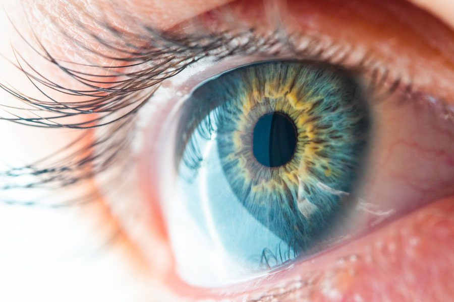 Fotosensibilizadores, qué son y cómo previenen el trasplante de córnea Pagina Nota3 290524 Oald