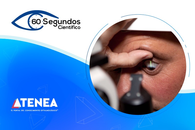 imagen prom web 800x533 (1)