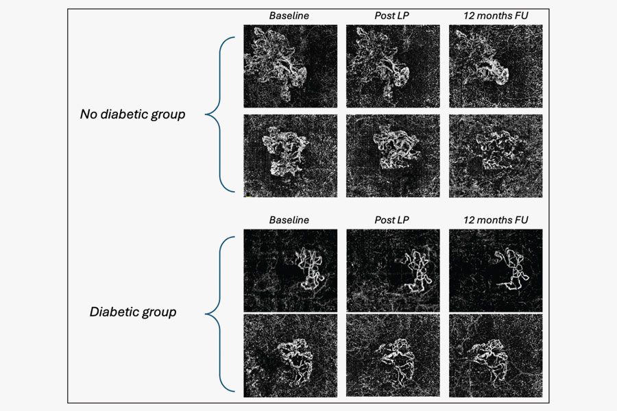 Paginaweb Nota5 110924 Oald