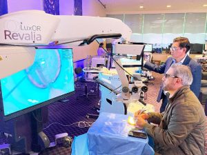 02galeria Nota2 29 10 24 Oald 300x225