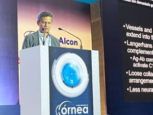 17galeriaprograma Nota1 011024 Oald 300x225