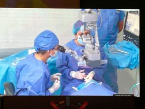 21galeria Principal Nota1 29 10 24 Oald 300x225