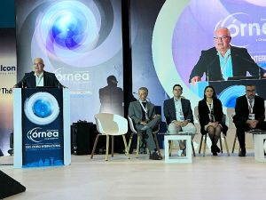 28galeriaprograma Nota1 011024 Oald 300x225