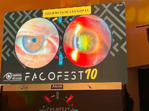 29galeria Principal Nota1 29 10 24 Oald 300x225