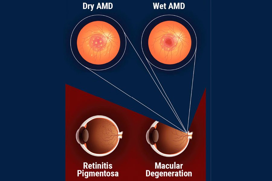 Pagina Nota3 181224 Oald