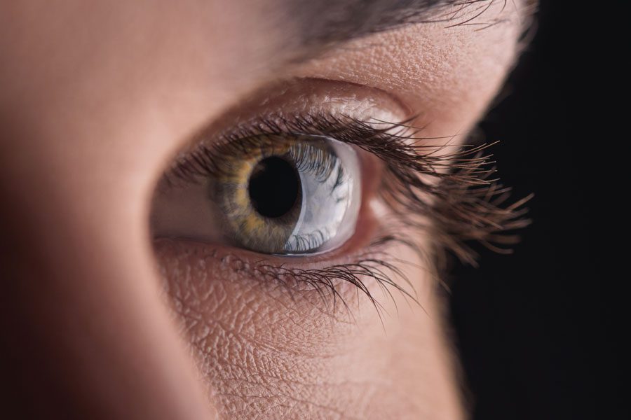 Pagina Nota4 27 11 24 Oald