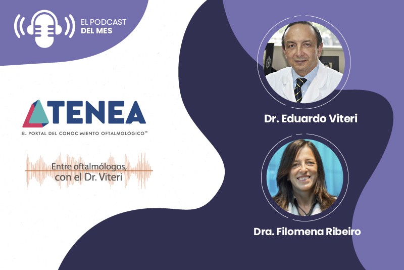 20 dicmesa de trabajo 2 copia 5 web