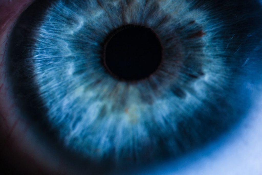 Quimioembolización intravascular con Mitomicina C: Una nueva terapia para tratar la neovascularización corneal Pagina Nota5 230425 Oald 1024x683