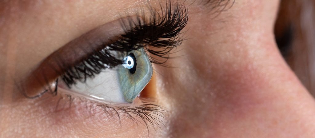 Imagen Principal 2 1024x449