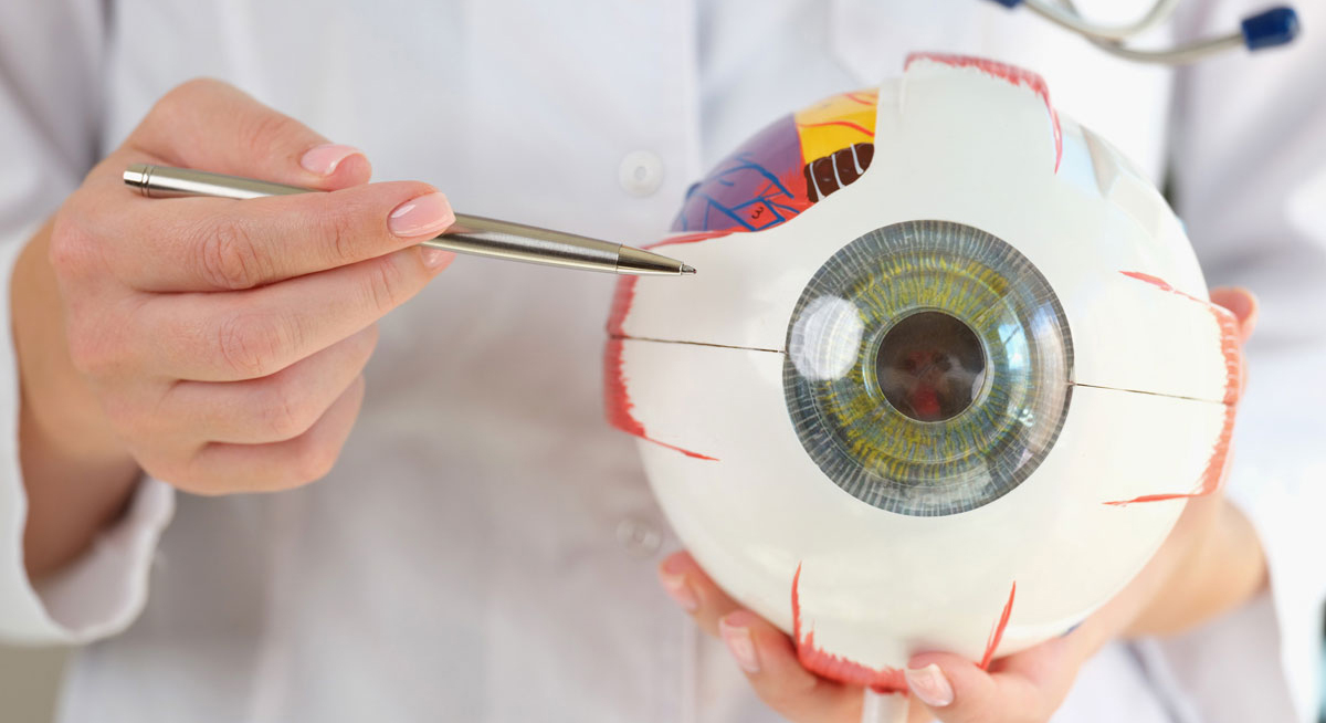 Pagina Nota3 300425 Oald