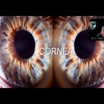 4galeria nota4 210126 oald