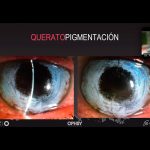 6galeria nota4 210126 oald