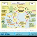 Ojo seco, ¿Qué debo saber este 2026? 05galeria nota4 110226 oald